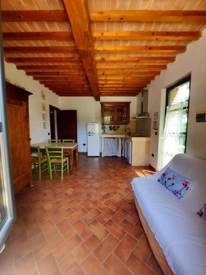 Appartamento Il Casolare Val Di Mare Riparbella Esterno foto