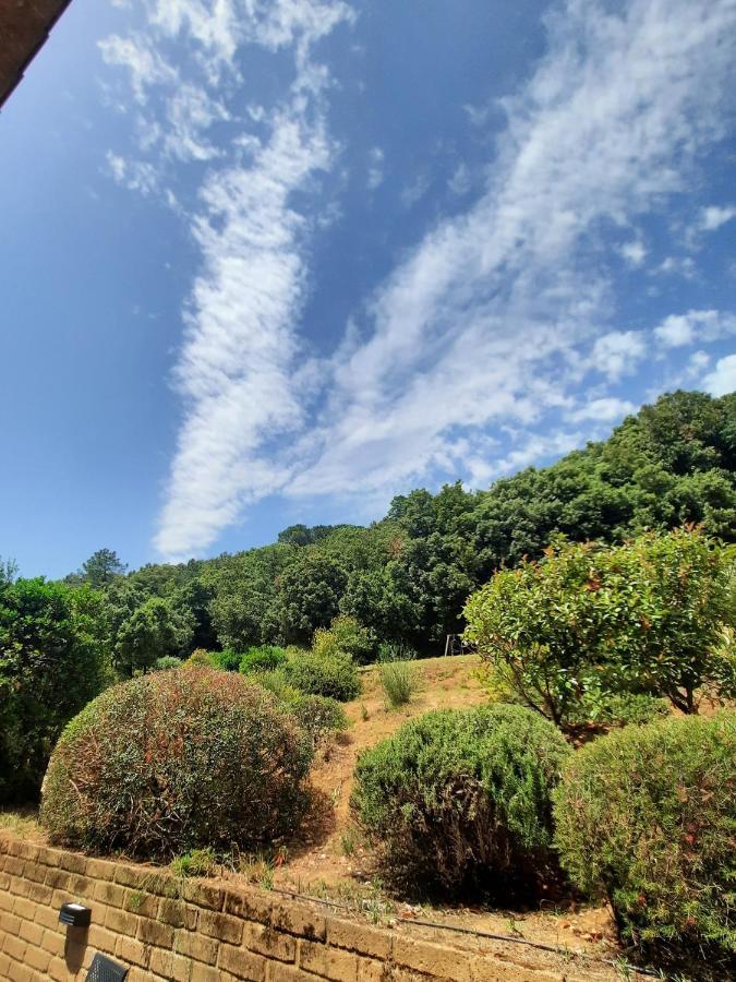 Appartamento Il Casolare Val Di Mare Riparbella Esterno foto